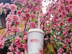 -鸡鸣赐茶(鸡鸣寺路店)
