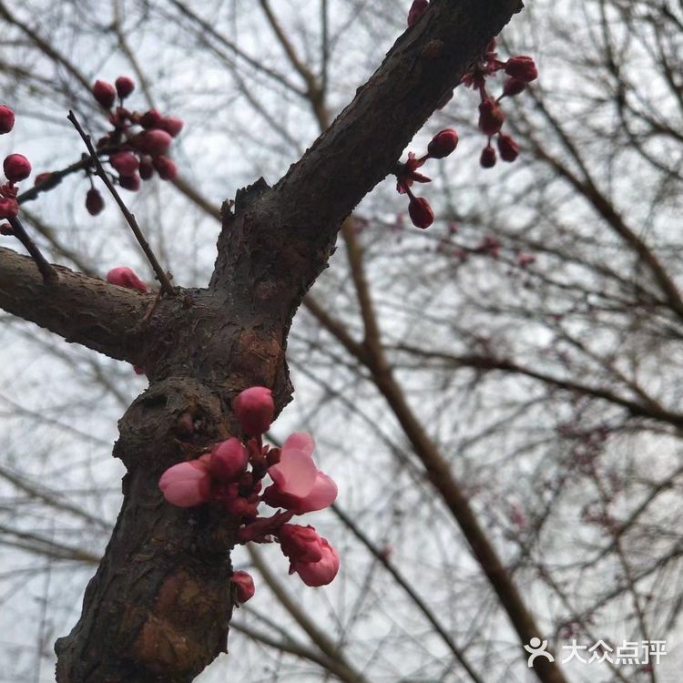 春暖花开奔你而来  我从春天走来，你在秋天说要分开