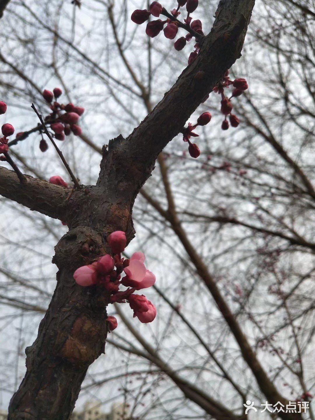 春暖花开奔你而来 我从春天走来,你在秋天说要分开