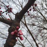 春暖花开奔你而来 我从春天走来,你在秋天说要分开