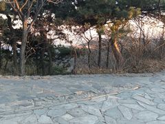 -香山公园