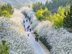 -桃花涧