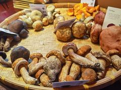 -滇野云南野生菌餐厅(陕西南路店)