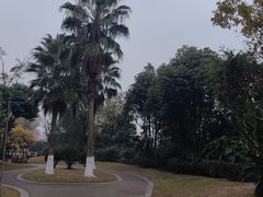 -府河摄影公园
