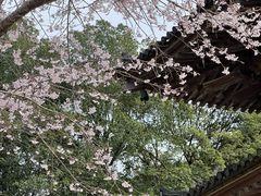 -醍醐寺