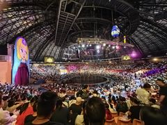 -俄罗斯国家大马戏团