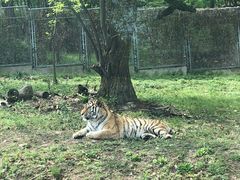-西安秦岭野生动物园