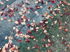 -杭州城北体育公园