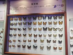 -吉林省自然博物馆
