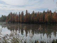 -白鹭湾湿地公园