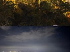 -长虫山生态公园风景林