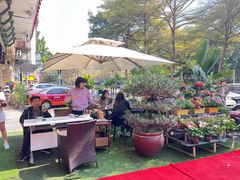 -山水茶艺馆·点心粤菜·30年老字号