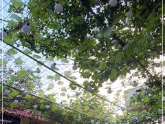 -化龙桥九宫格火锅(清水河店)