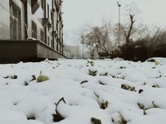 -中央民族大学
