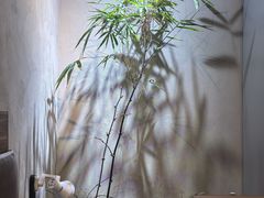 -阿泽料理