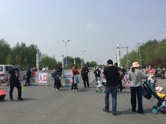 -丁香湖公园