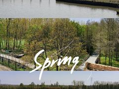 -溱湖国家湿地公园