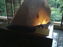-龙山酒店温泉