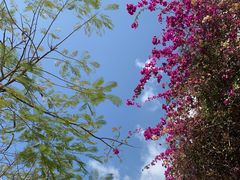 -三亚南山文化旅游区