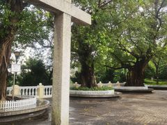 -龙环葡韵住宅式博物馆