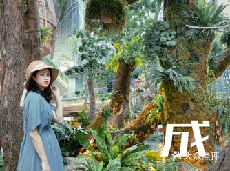 这不是东南亚是成都南门的新商场