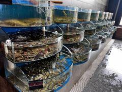 -蓝珊甄选海鲜自助·火锅大排档(近阿那亚店)