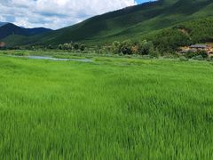 -丽江泸沽湖景区