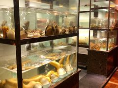 -甄御•海鲜新青岛菜(麦岛店)