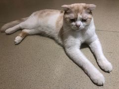 -藏猫猫咖啡主题馆(中央大道店)