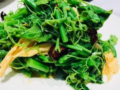 拌腐竹-春明狗肉馆(经开一区店)