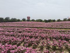 -歌斐颂巧克力小镇