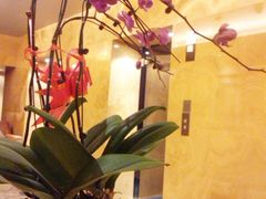 酒店临时的健身房7层-北京朝阳悠唐皇冠假日酒店