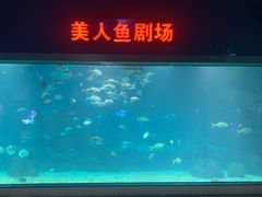 -福州罗源湾海洋世界旅游区