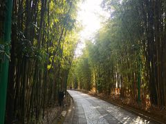 -蝴蝶泉公园