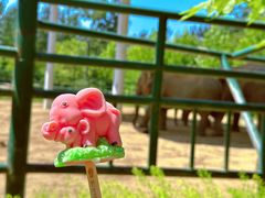 -秦皇岛野生动物园