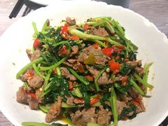 -壹盏灯(惠农店)
