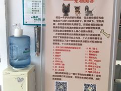 -创凡宠物医院·骨专科  猫科中心(西乡分院)