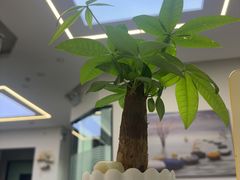 -唐杰口腔(富都广场店)