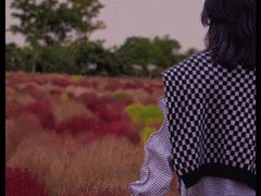 -映月湖中央公园