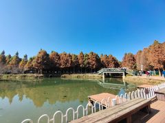 -捞渔河湿地公园