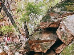 -五女峰国家森林公园