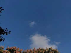 -苏州河梦清园环保主题公园