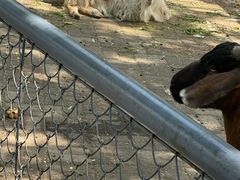 -长白岛森林公园