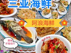 -亚龙湾热带天堂森林公园