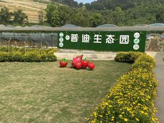 -普迪生态园