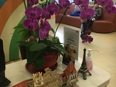 -美华丁香门诊部·全科·妇儿·口眼