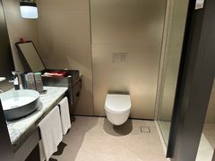 -新加坡瑞士史丹福酒店