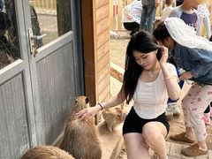 -灵玲国际马戏城