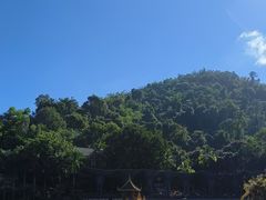 -西双版纳原始森林公园