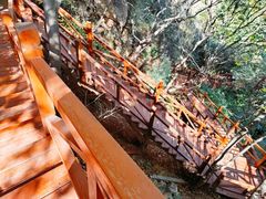 -大岭沟猕猴桃谷风景区